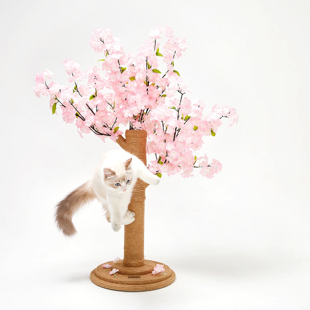 櫻花樹貓爬架