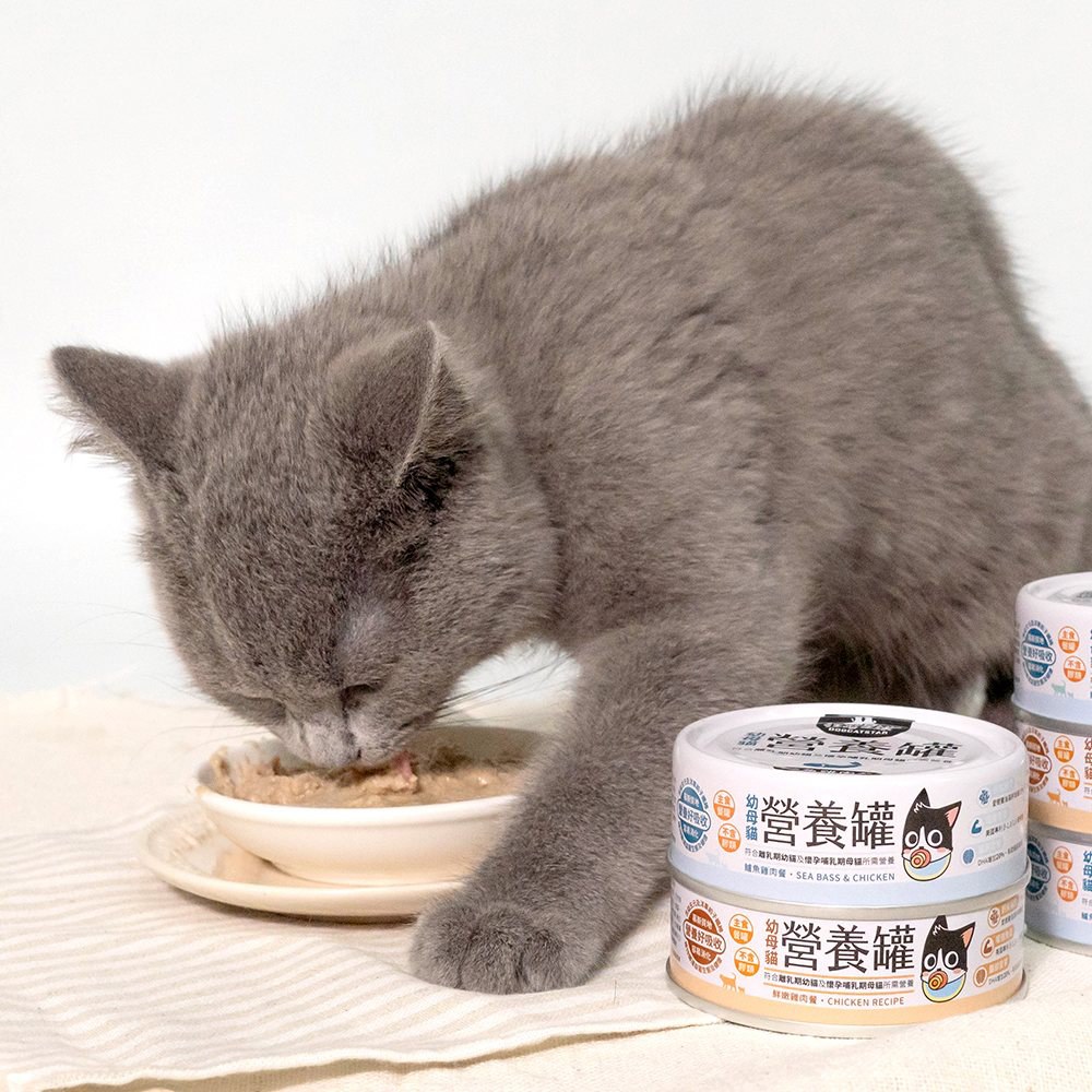 幼母貓98%營養無膠主食罐 (多種口味)