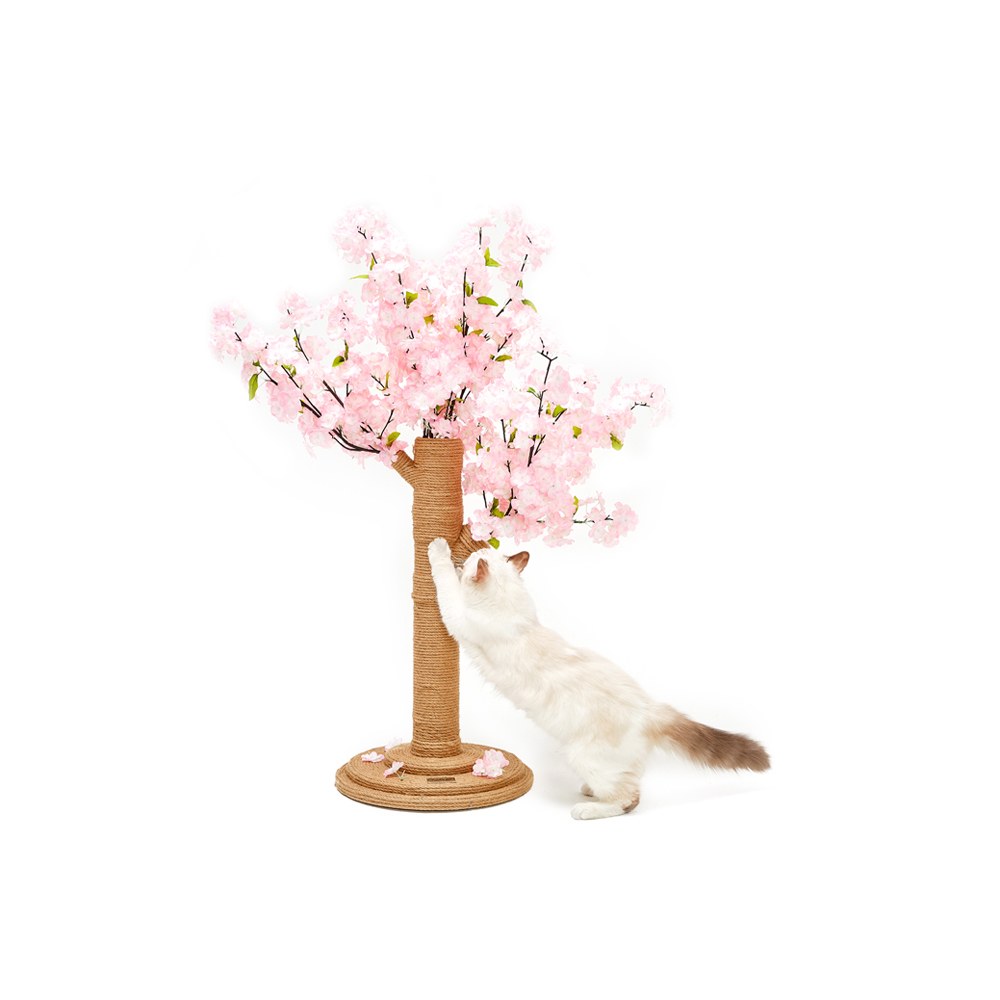 櫻花樹貓爬架