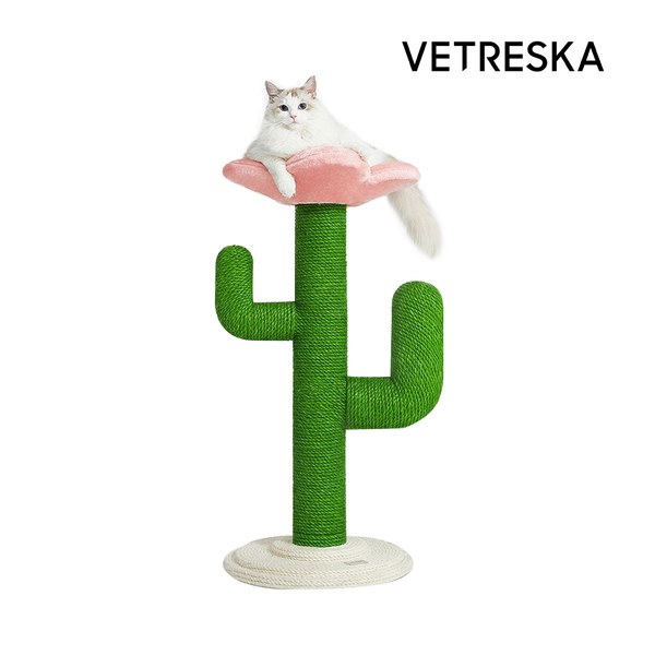 <b>Vetreska</b> 花朵仙人掌貓爬架
