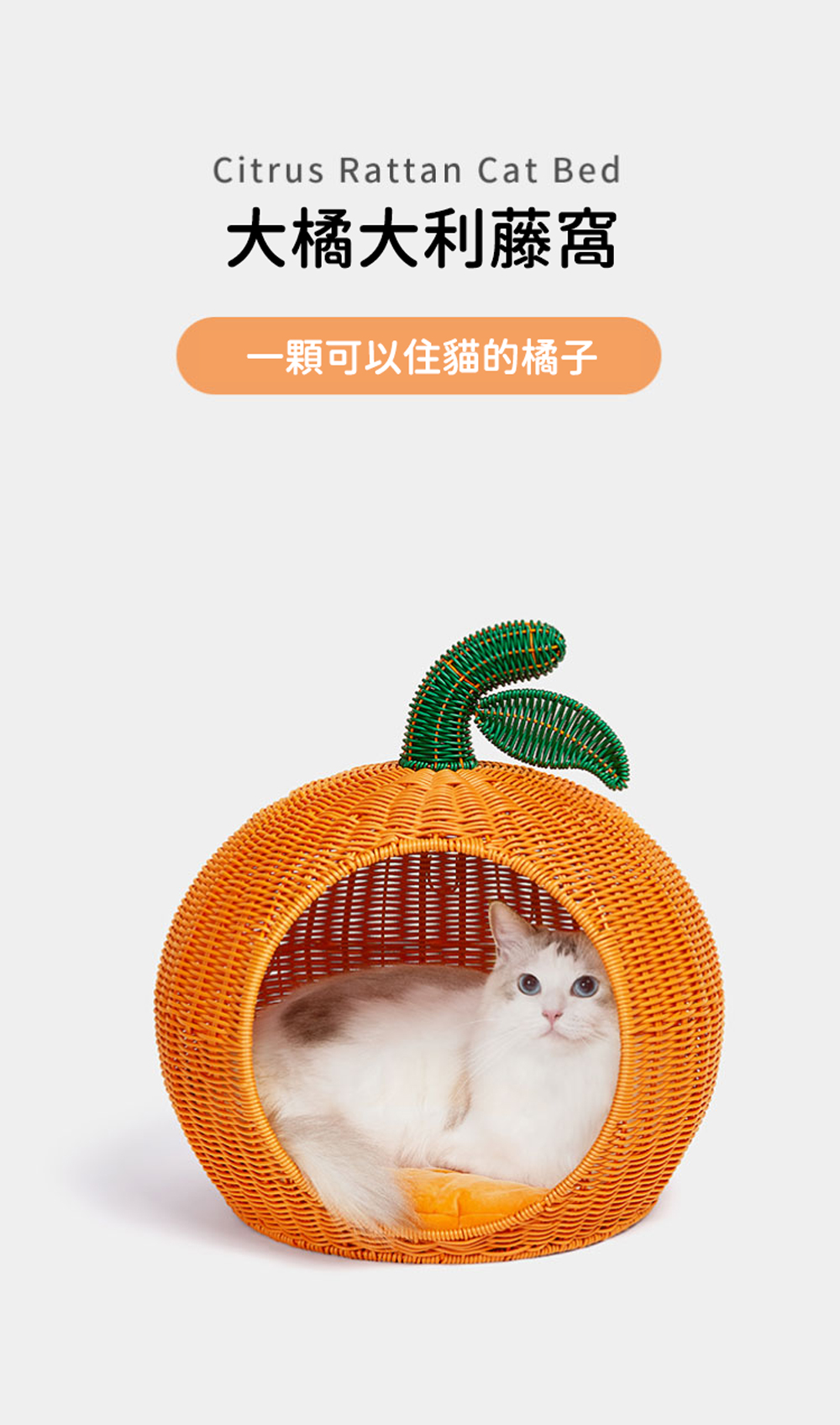 Citrus Rattan Cat Bed大橘大利藤窩一顆可以住貓的橘子